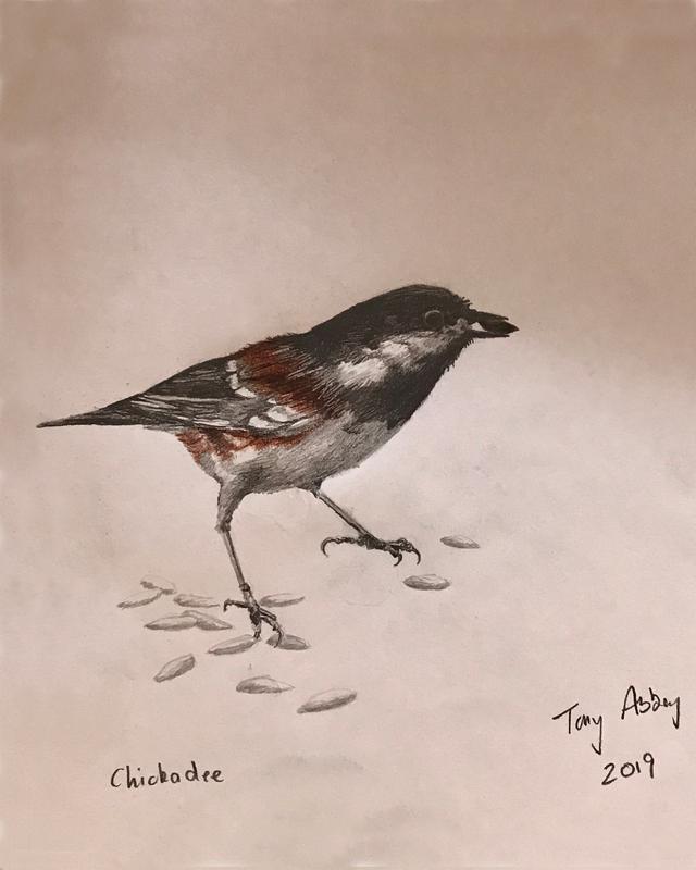 Chickadee foraging for seeds